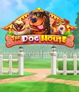 From Pragmatic Play comes The Dog House Slot, featuring an adorable adventure through playful pups. Enjoy features such as free spins, aimed at delivering entertaining gameplay. A must-try for animal enthusiasts a lighthearted setting with a chance for big wins.